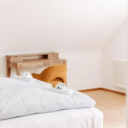 公寓 Grosszuegige Altbauwohnung Am By Stadtlandnest 布雷根茨